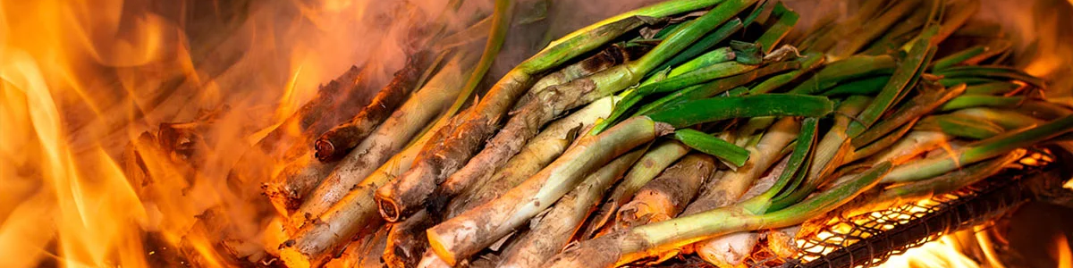 Ya estan aqui! Empieza la temporada de calçots!